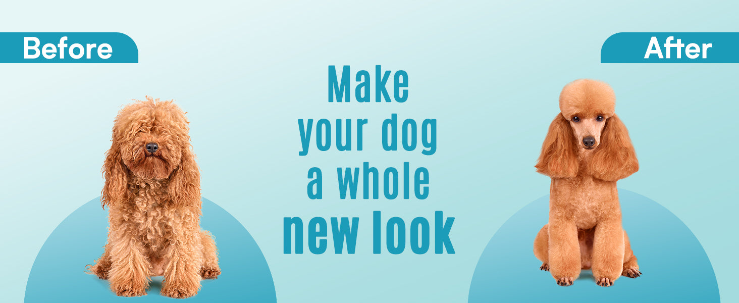 make your dog a whole new look