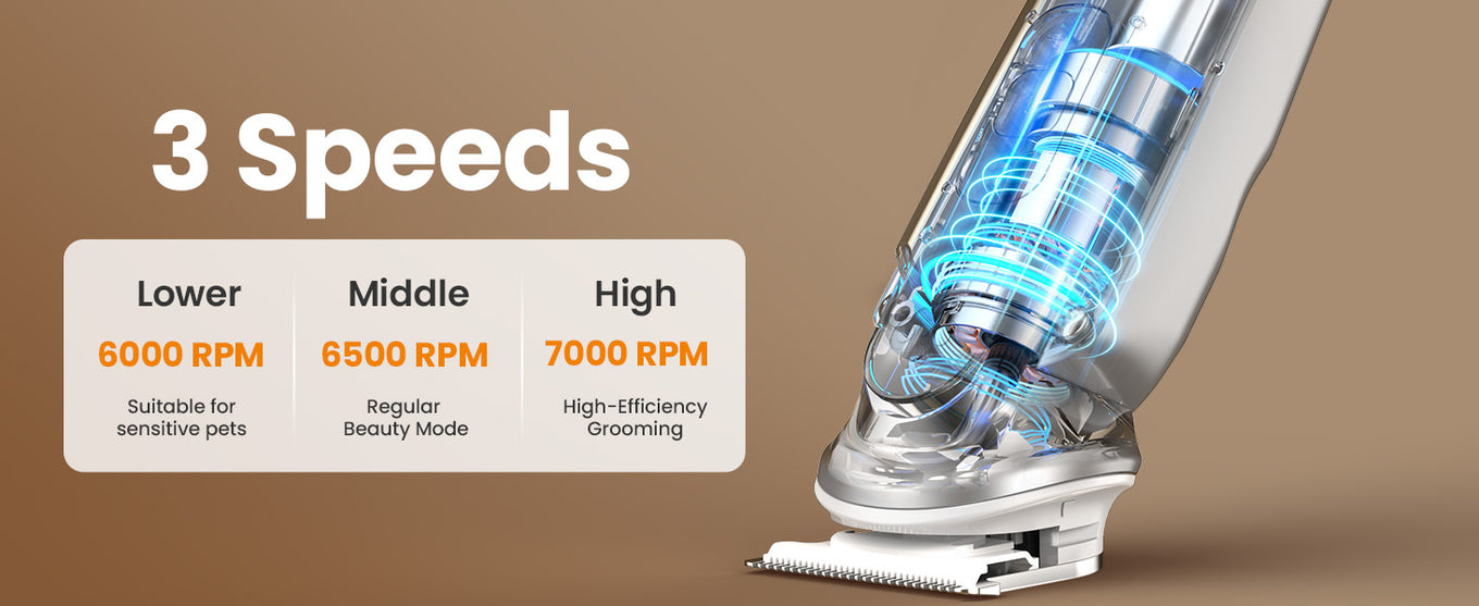 3-Speed Tailored for Every Need