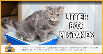 What Pet Experts Say