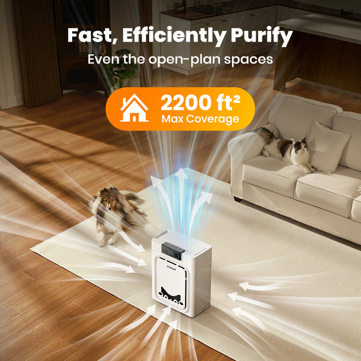 Oneisall Ease S1 Self-Cleaning Litter Box