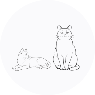 Fits cats 2.6–30 lbs