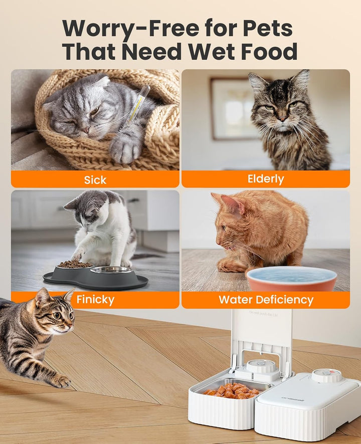 Oneisall 1 Meal Automatic Cat Feeder for Wet Food or Dry Food