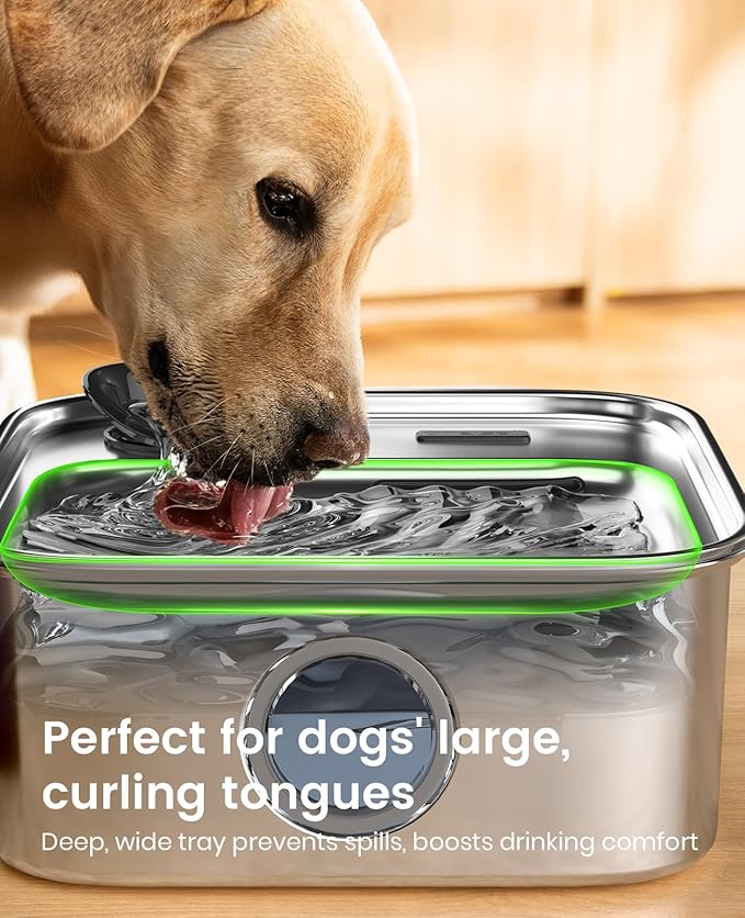 Oneisall 10L Pet Water Fountain for Large Dogs