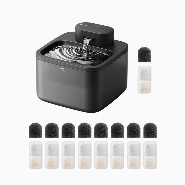 Cat Water Fountain