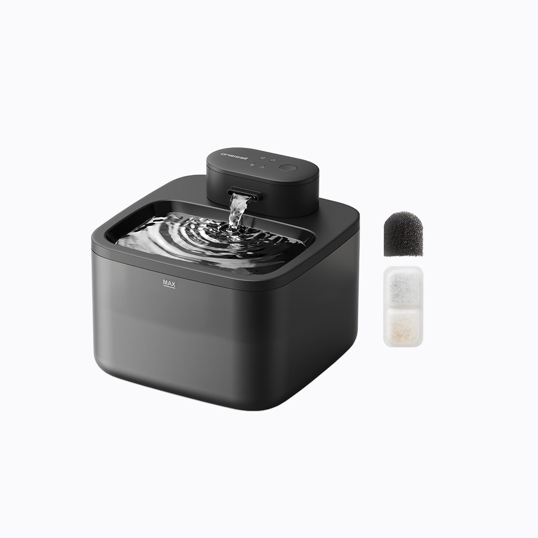 Cat Water Fountain