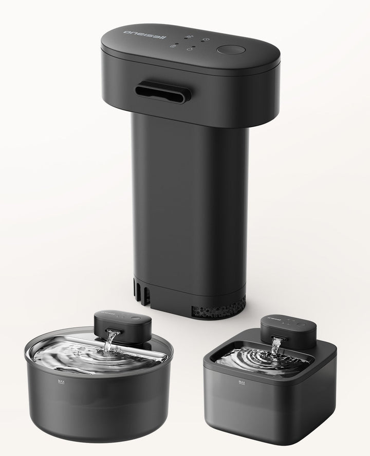 Cordless Pet Water Fountain