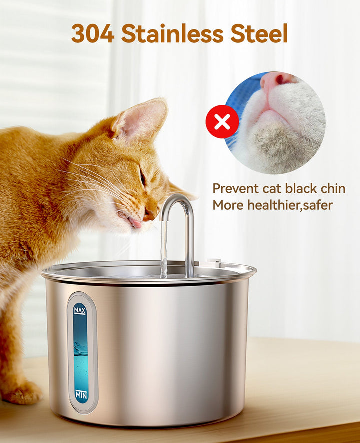 cat drinking fountain