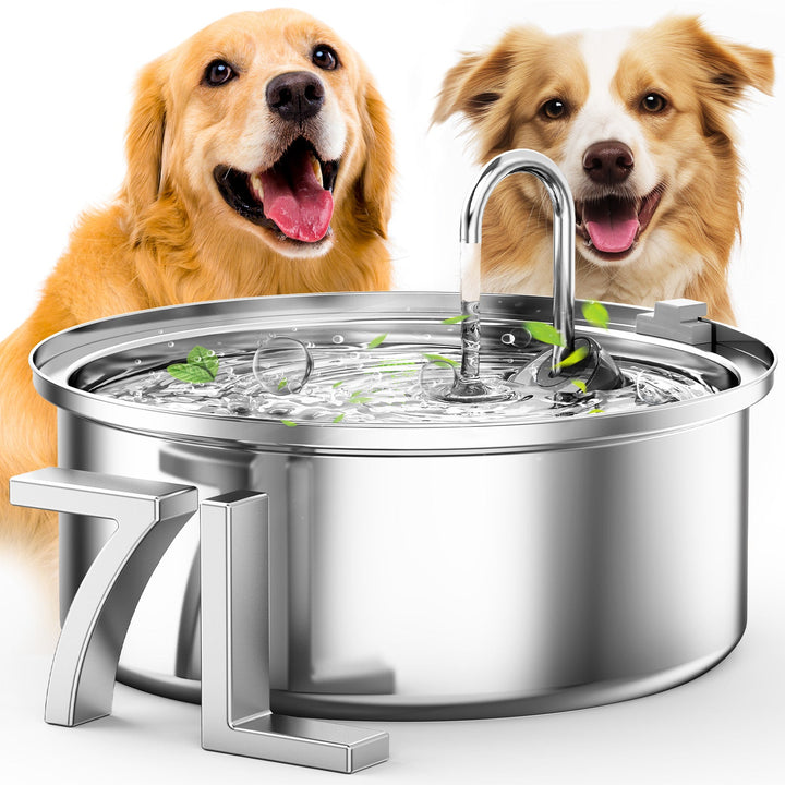 pet water fountain