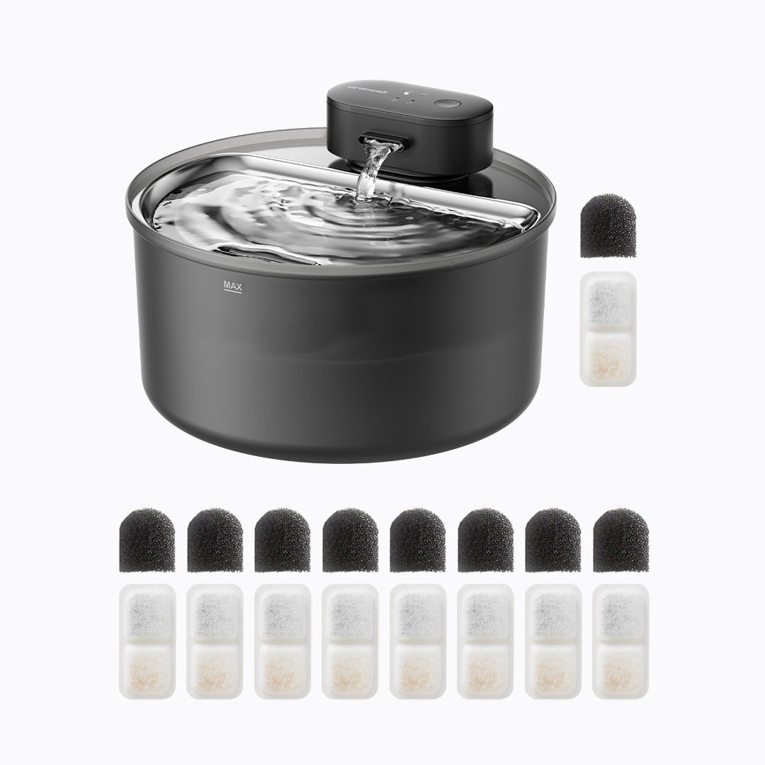 3.2L Cordless Cat Water Fountain