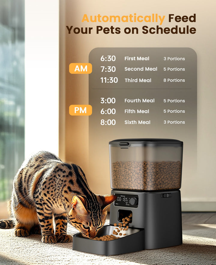 Cat Feeder