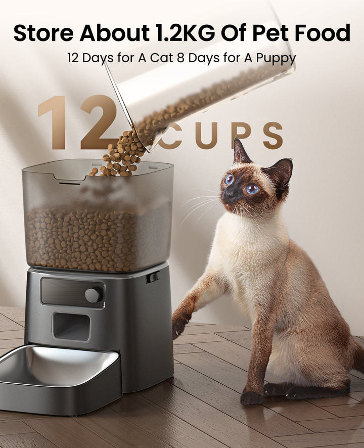 automatic cat feeder