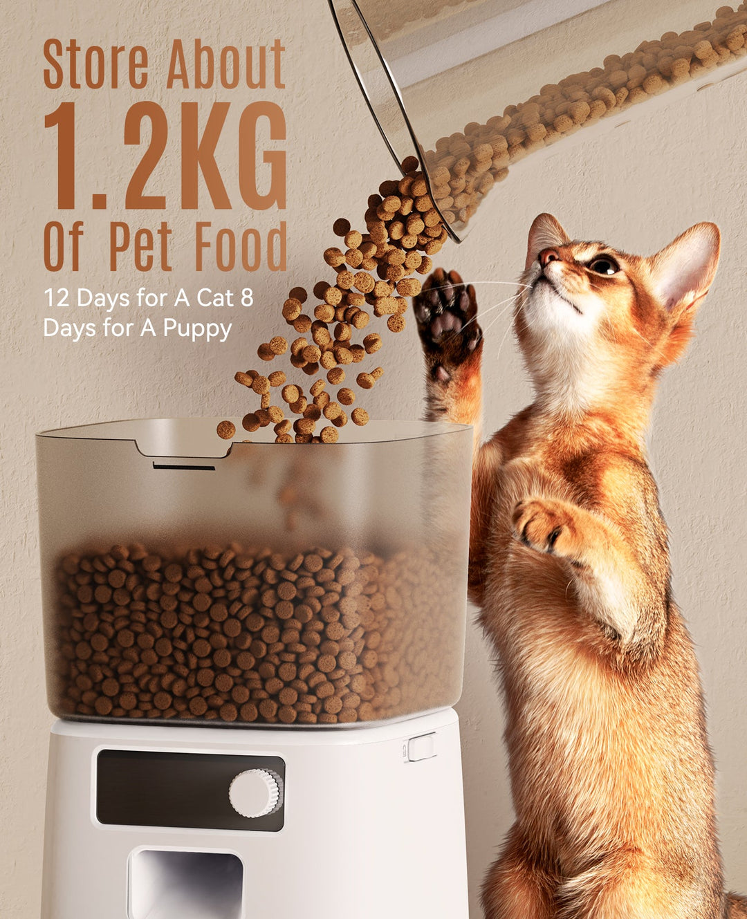 Cat Feeder with APP