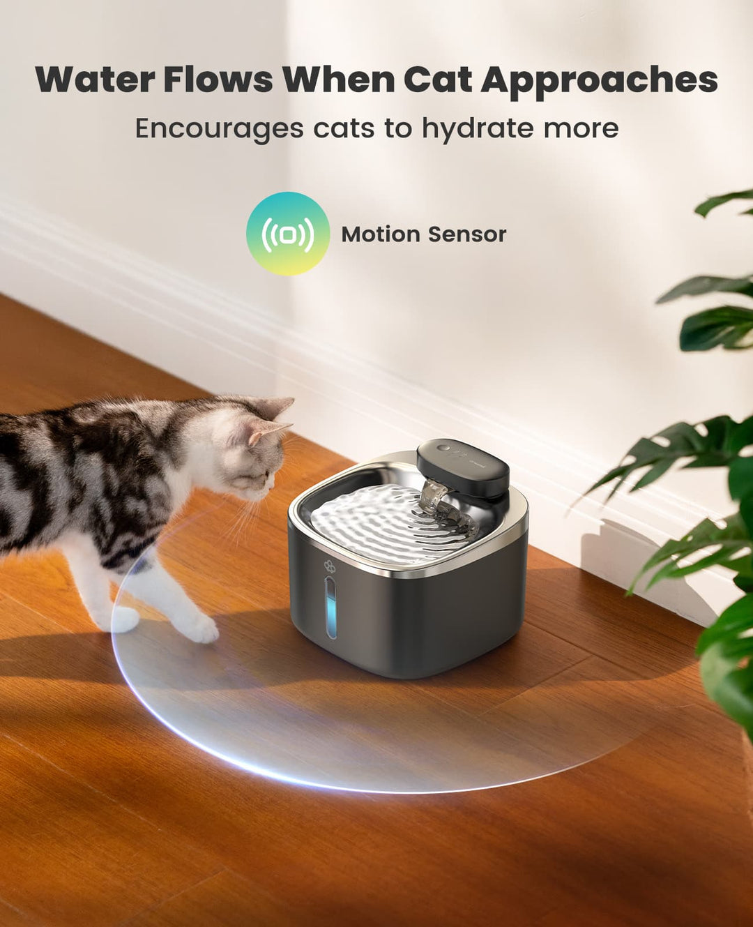 3.5L Cordless Smart Pet Water Fountain Black with 11 PCS Filters