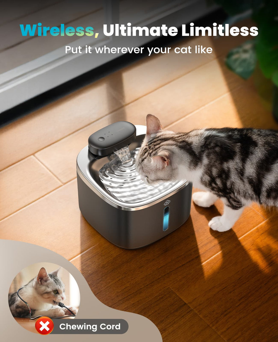 3.5L Cordless Smart Pet Water Fountain Black with 11 PCS Filters