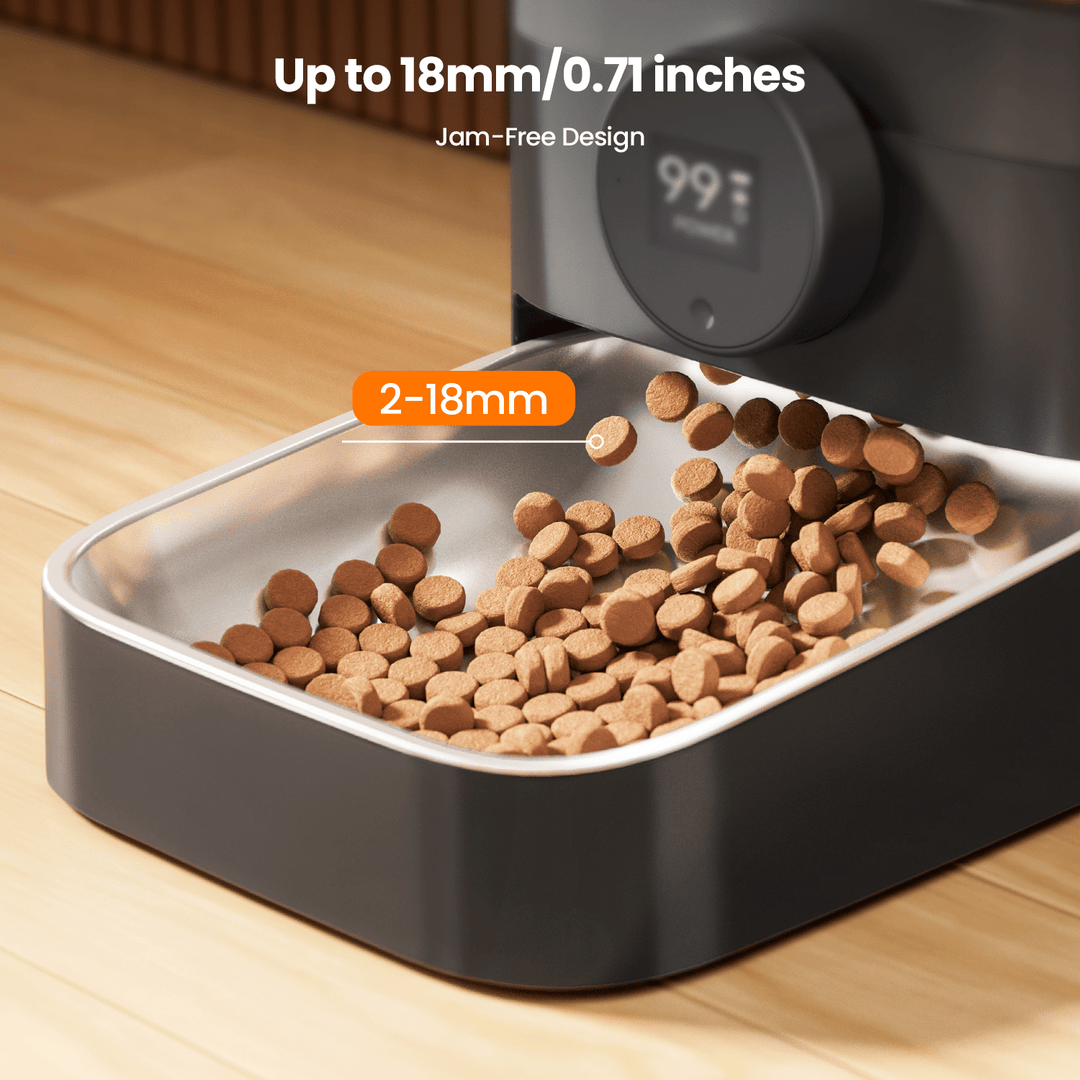 Smart Cat Feeder with APP Control