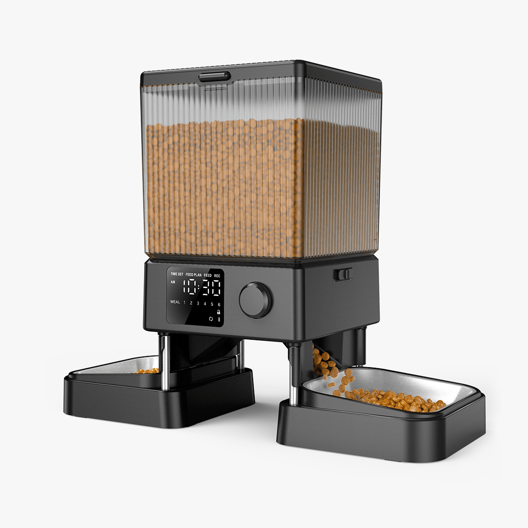 Step-by-step: how to feed two cats with automatic feeder