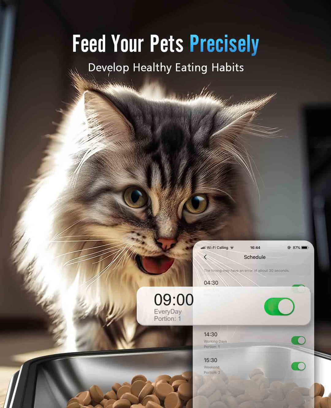 automatic cat feeder