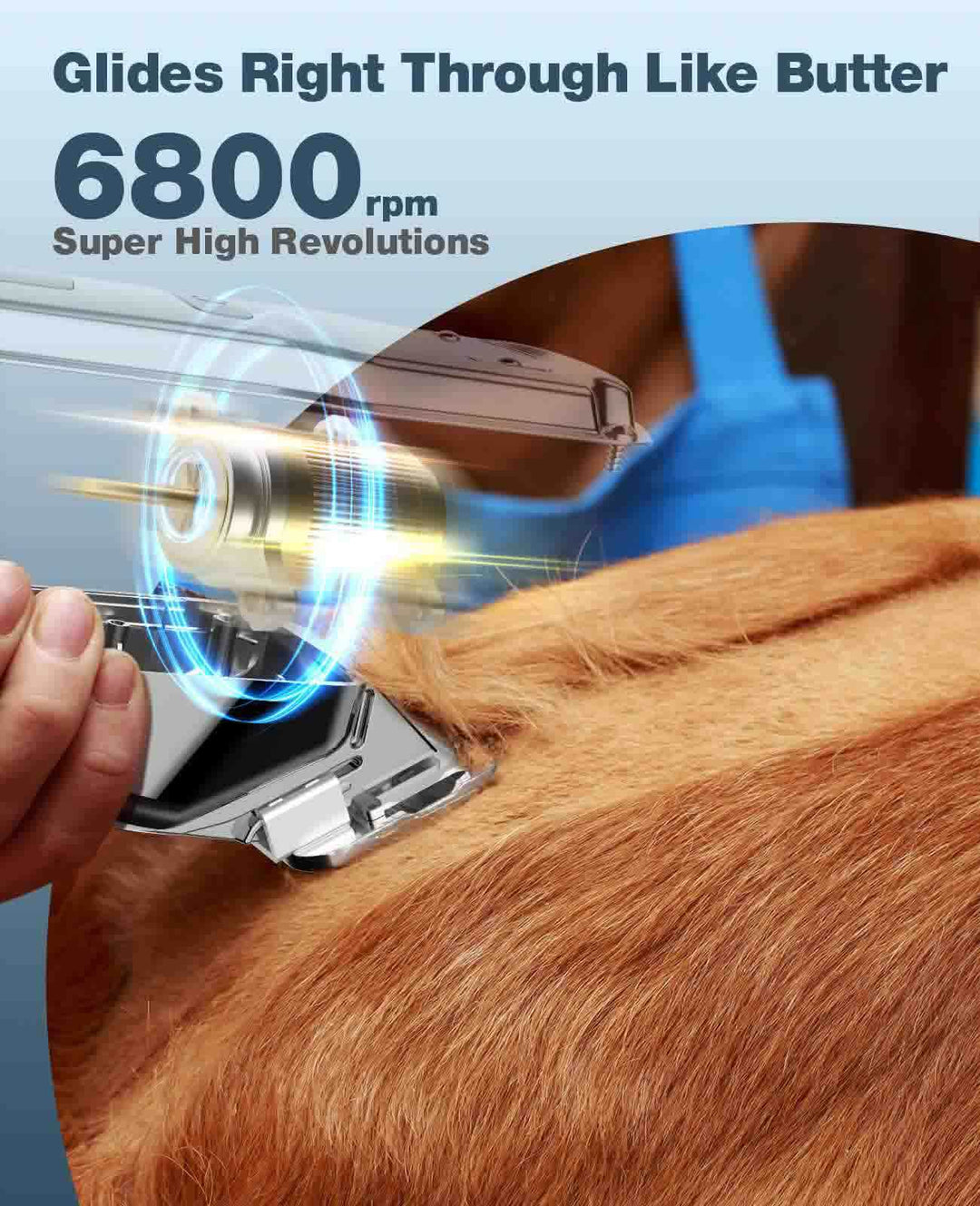 dog hair clippers