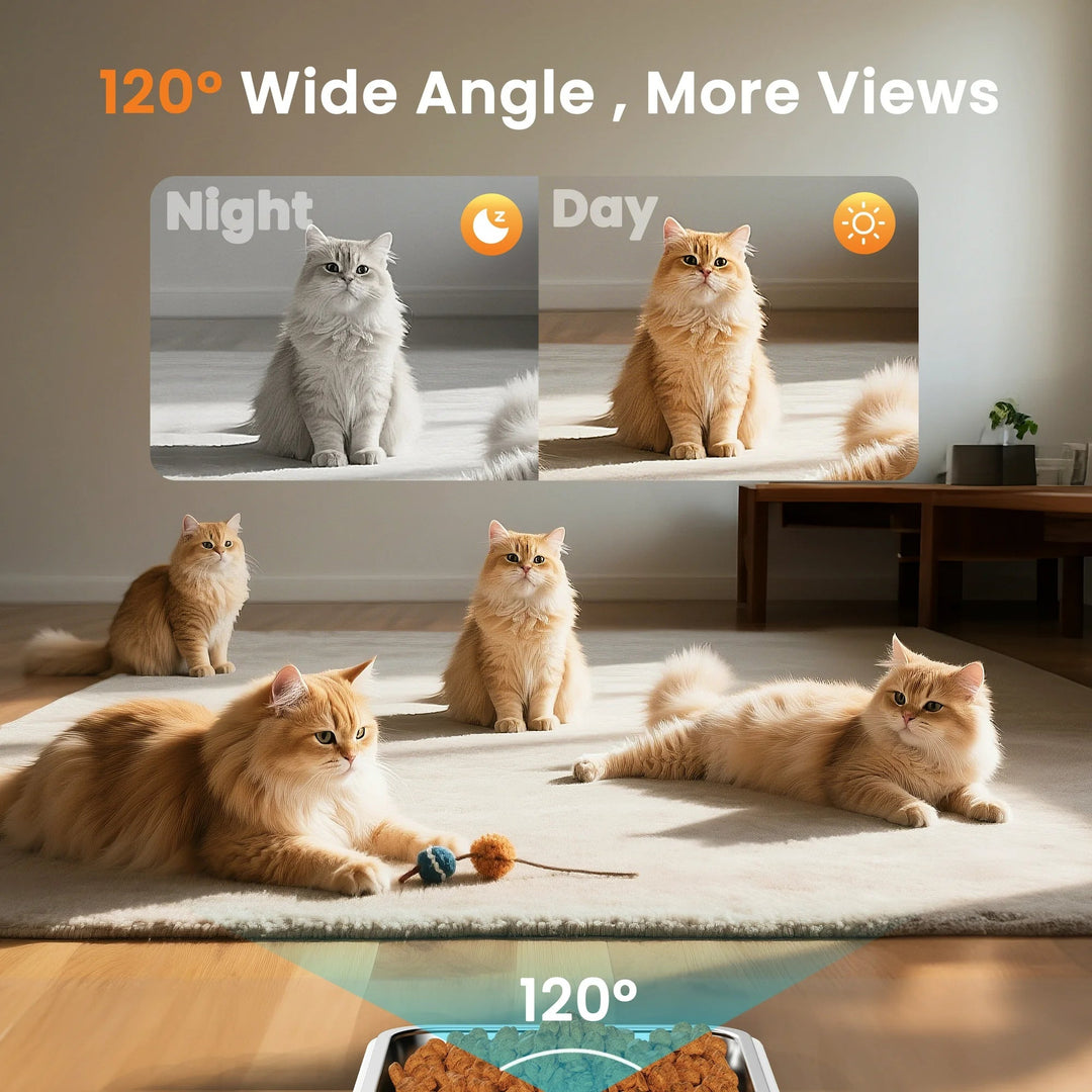 6L Automatic Cat Feeder