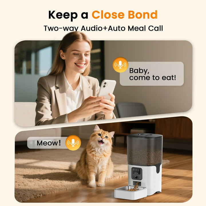 6L Automatic Cat Feeder