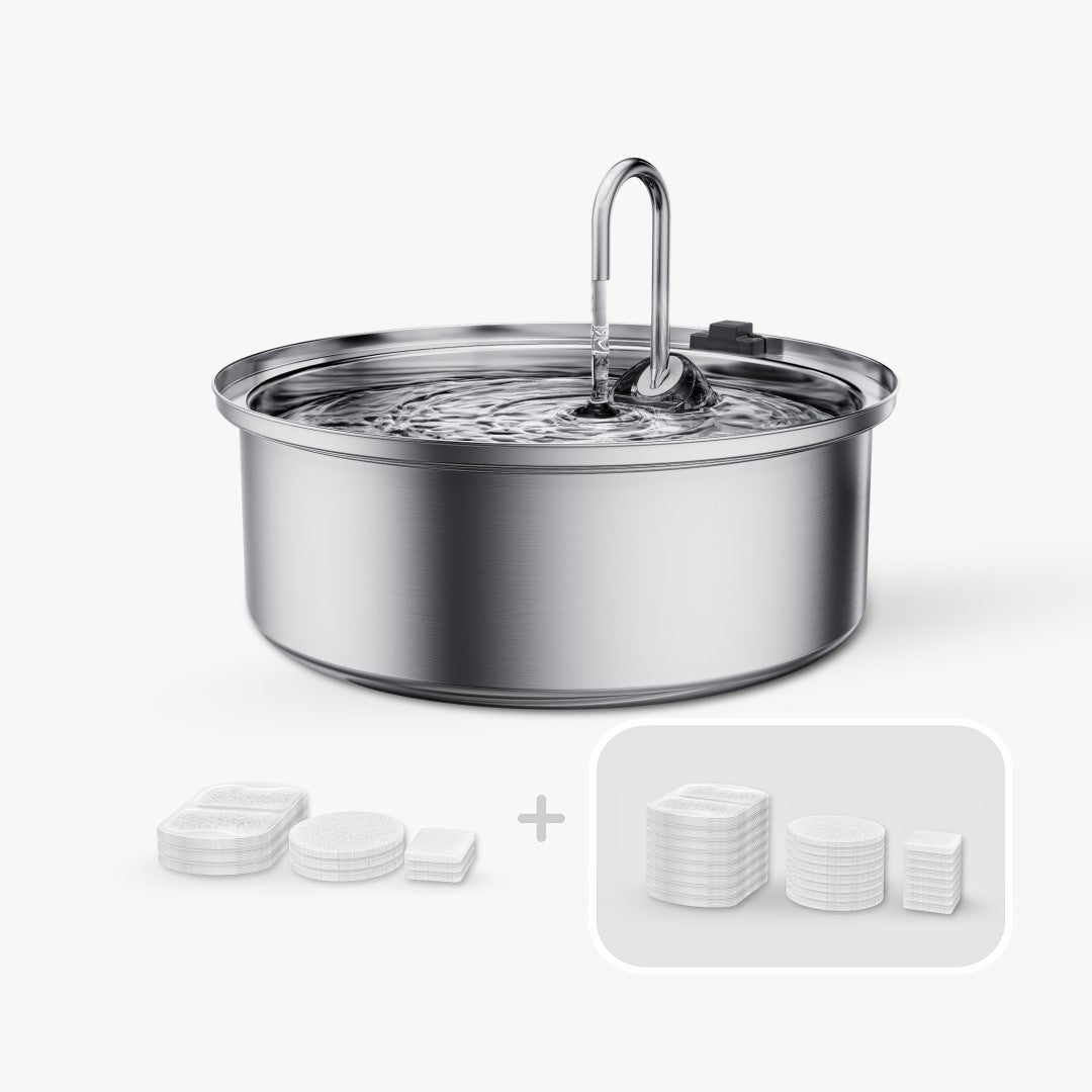 Best Dog Water Fountain | Stainless Steel Dog Water Fountain