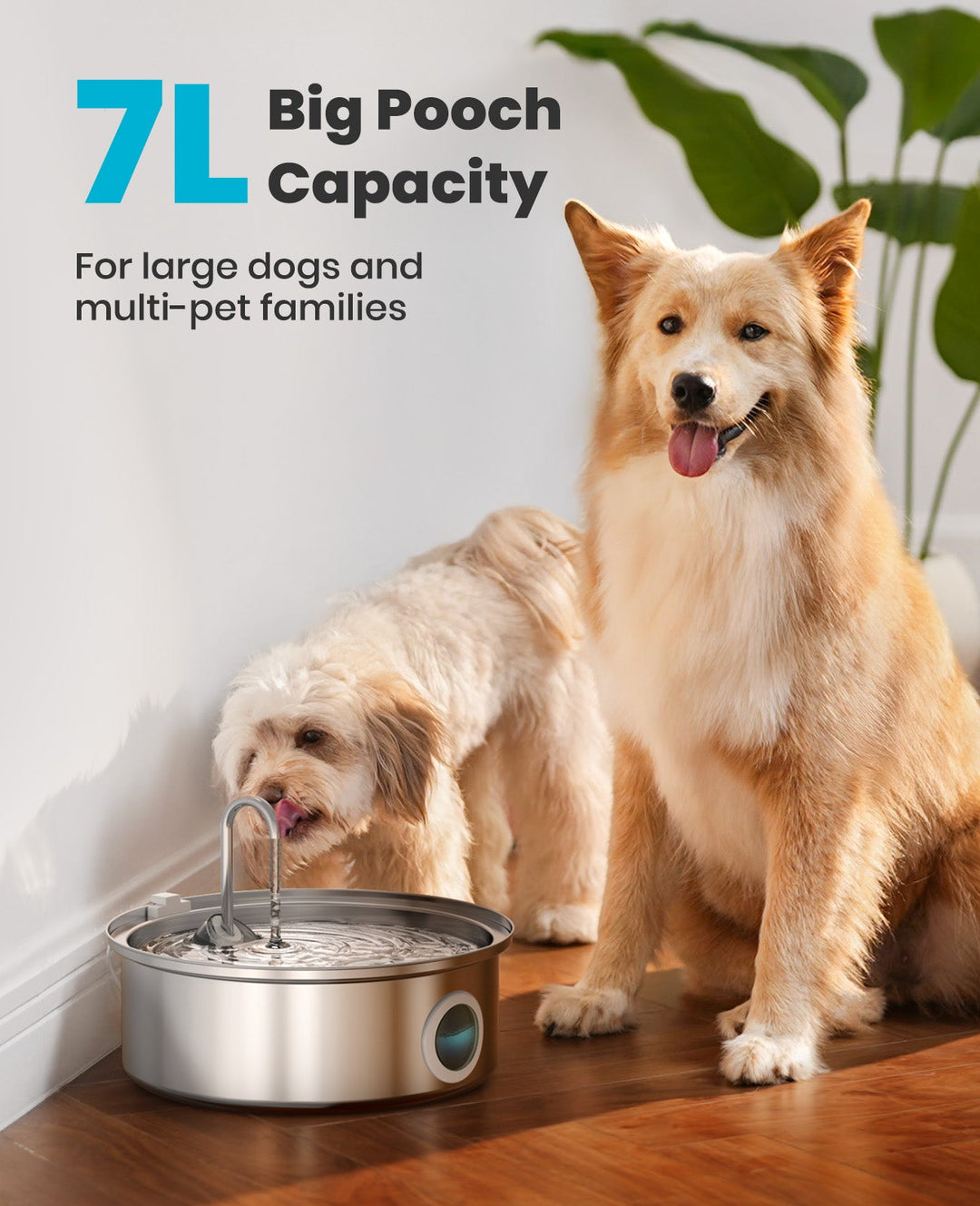 7L large pet water fountain