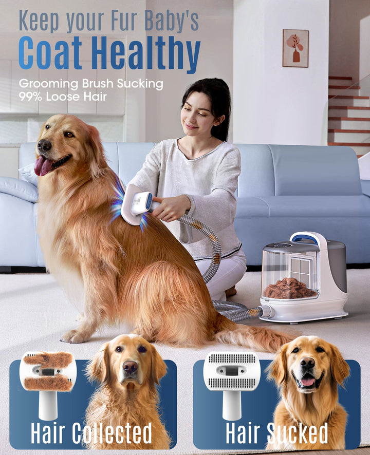 3 L dog grooming vacuum