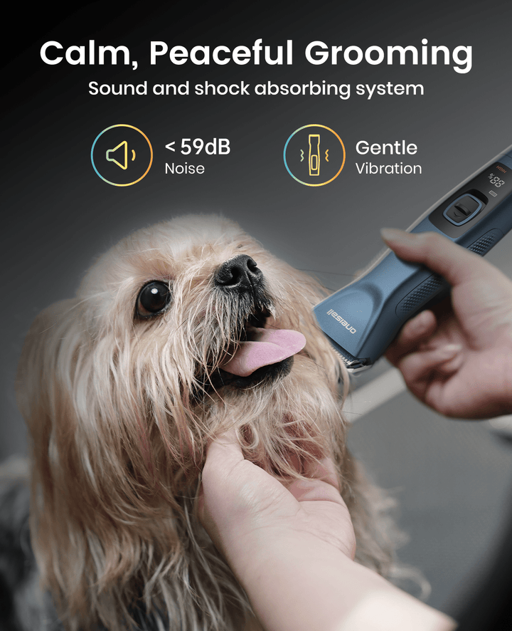  Pet Grooming Clipper for Dog