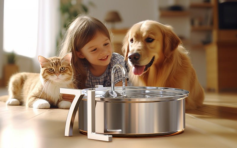 pet drinking fountain