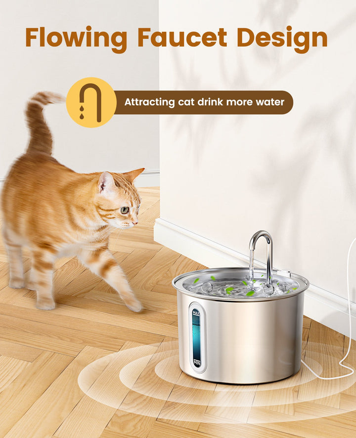 cat drinking fountain