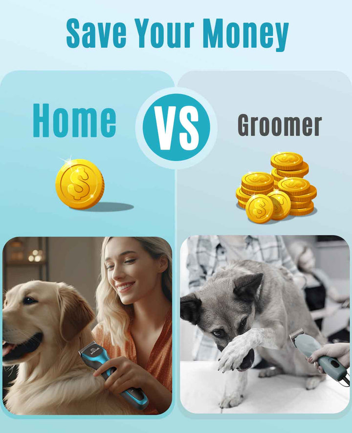 dog grooming clippers