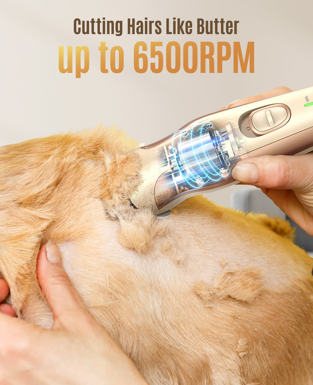 dog grooming clipper cutting hairs like butter