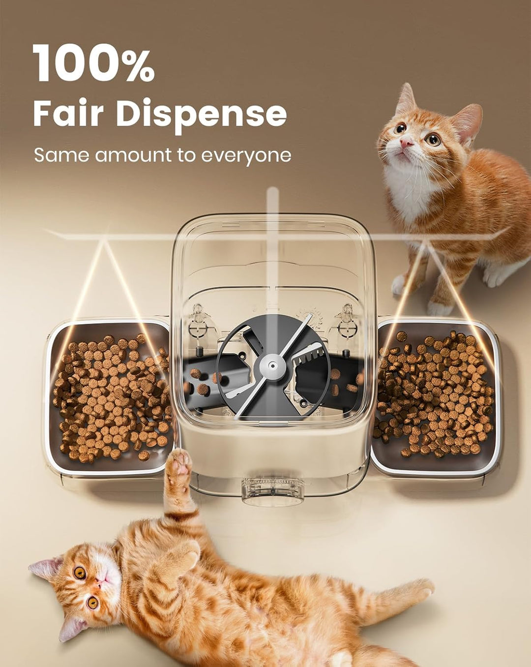 Automatic Cat Feeders for 2 Cats