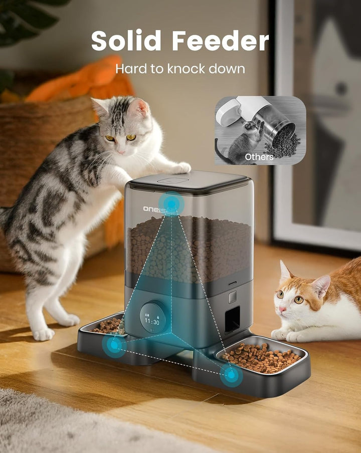 Automatic Cat Feeders for 2 Cats