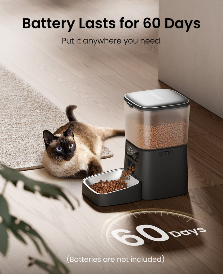 automatic cat feeder