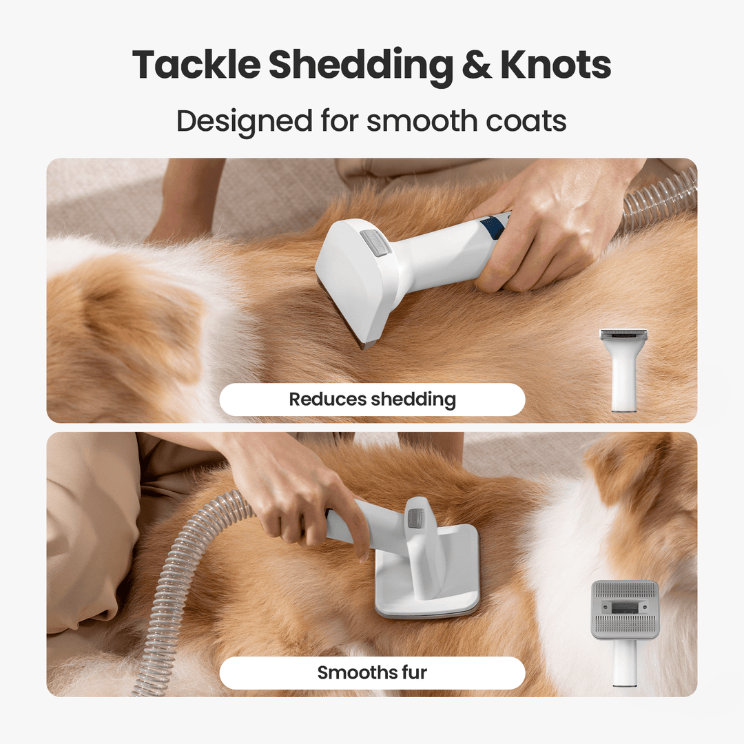 Pet Grooming Vacuum Kit