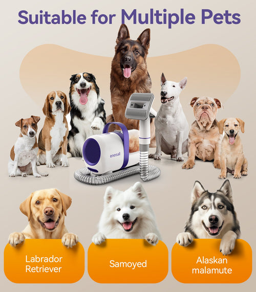 LM5 - Kit d&#39;aspirateur de toilettage pour chiens Oneisall