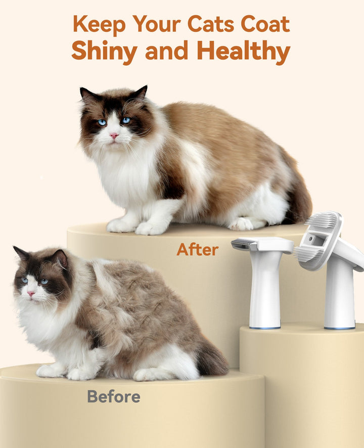 cat grooming vacuum