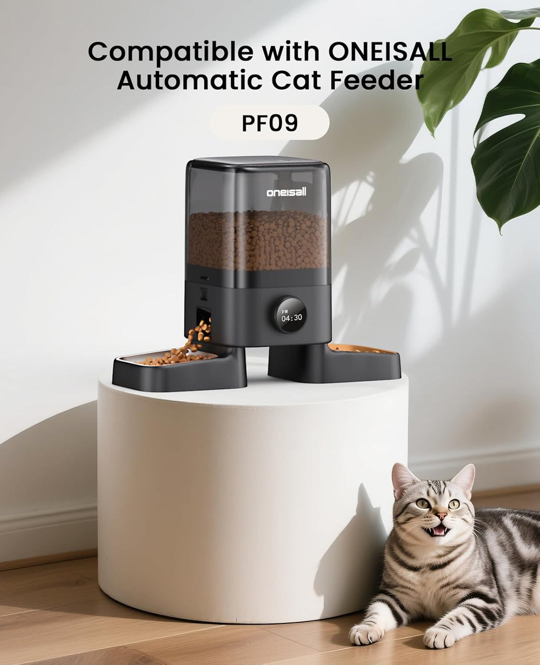 Suitable for All of oneisall Cat Feeders