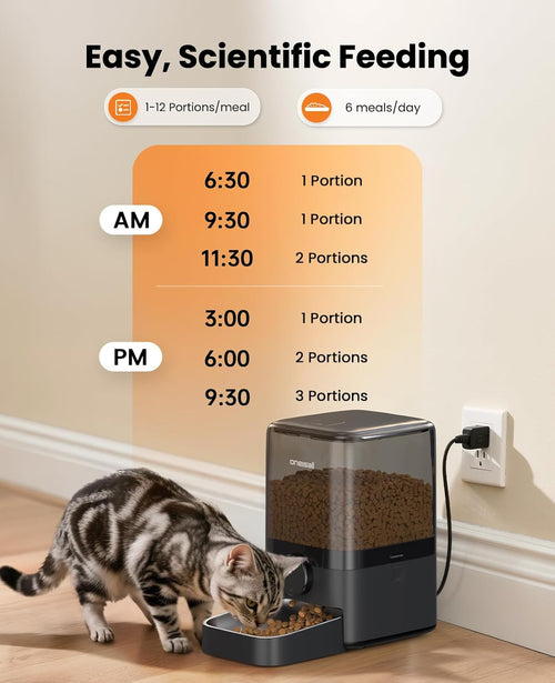 Automatic Cat Feeder
