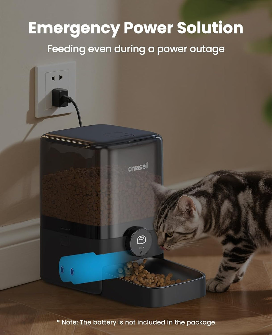 Automatic Cat Feeder