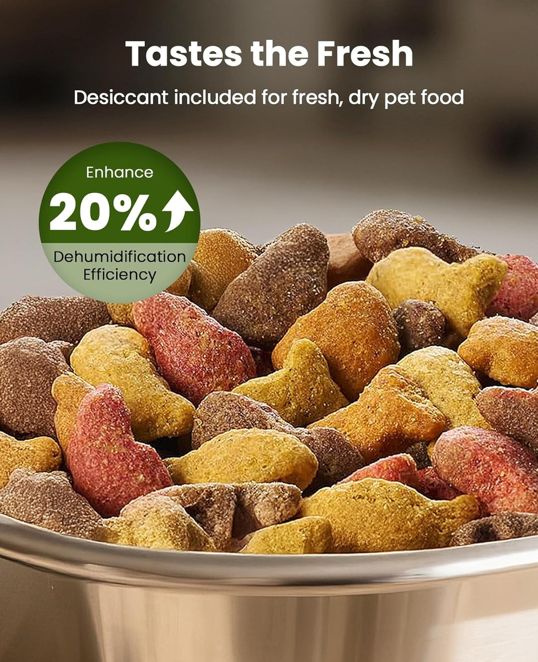 Automatic Cat Feeder