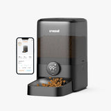 Travel & Business Trips