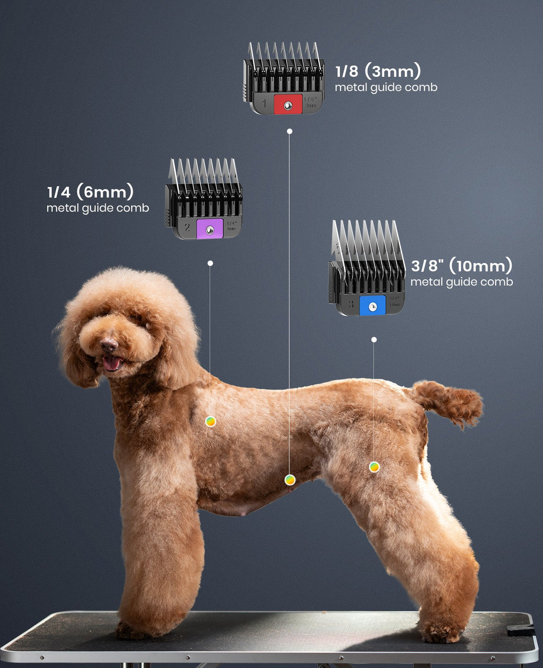Attachment Guide Comb Replacement for Grandmaster Pro 1 Profesional Dog Grooming Clipper
