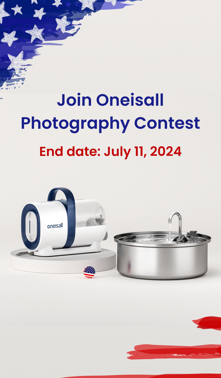photo contest