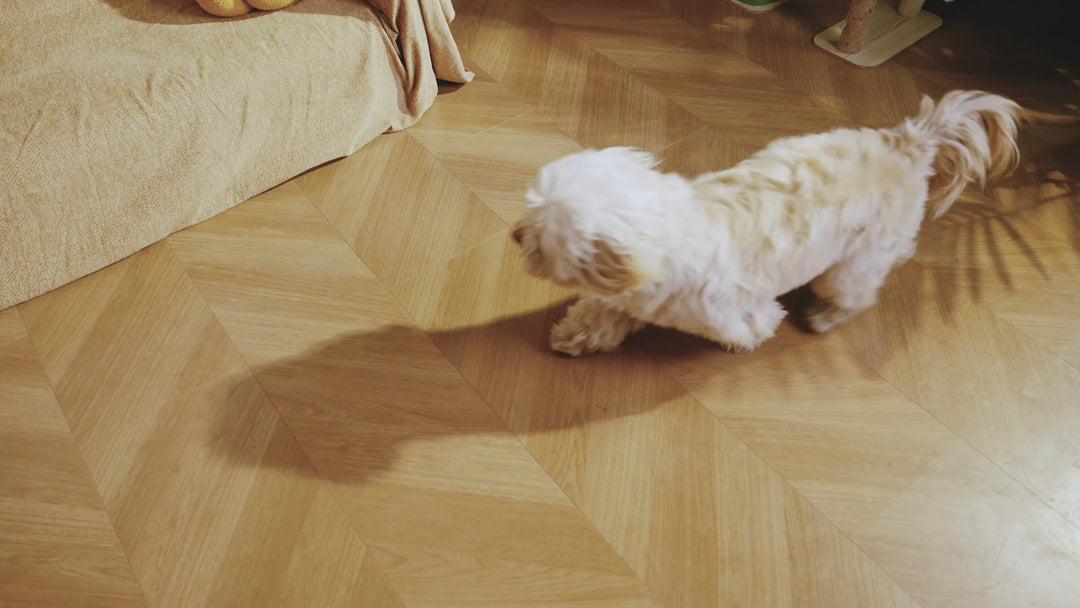 Oneisall FC13 Dog Paw Trimmer