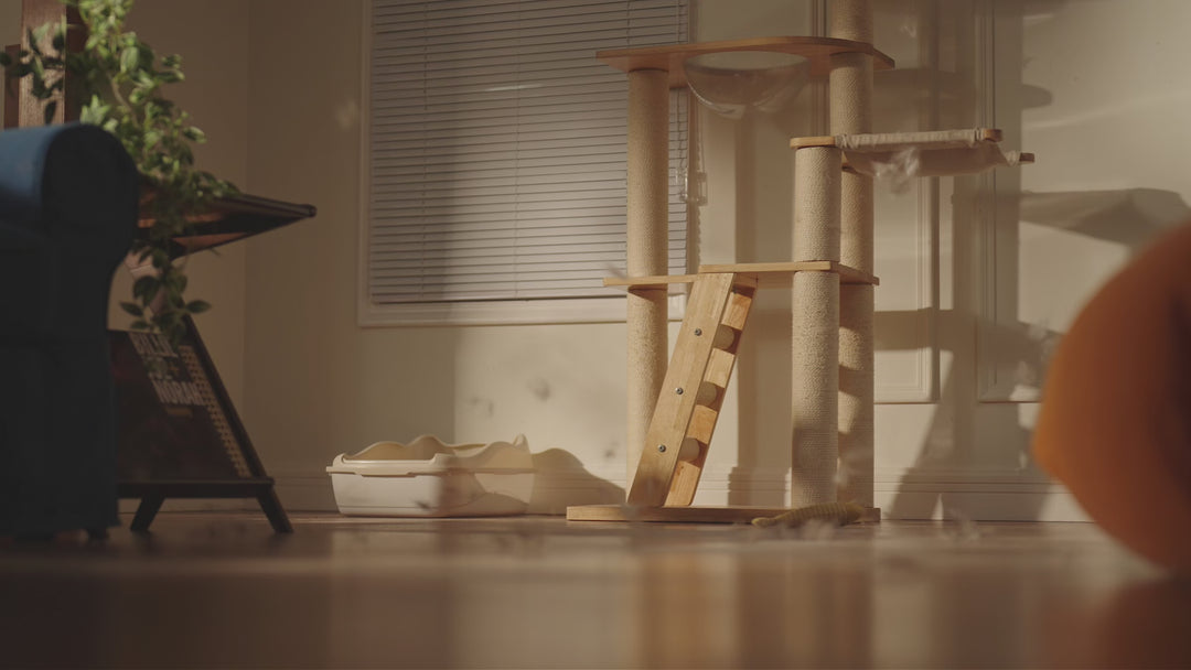 Oneisall Cat Bed Air Purifier