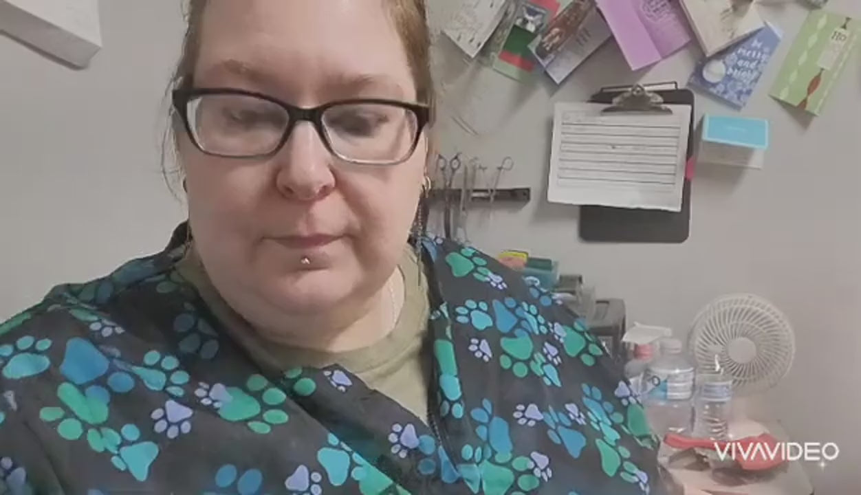 shopgracias-app-videos