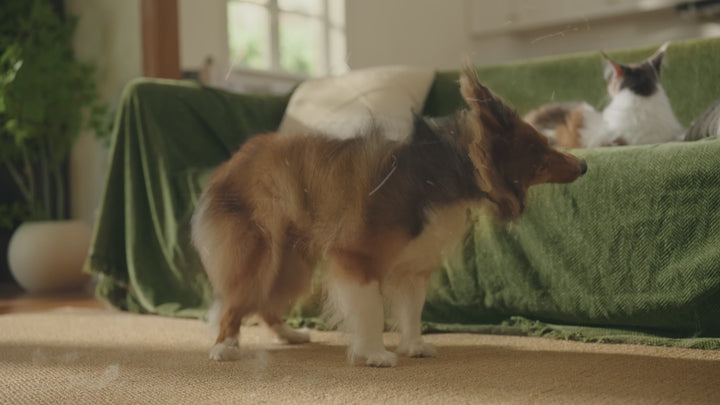Oneisall  Air Purifiers for Home Pets with Double-Sided Inlet