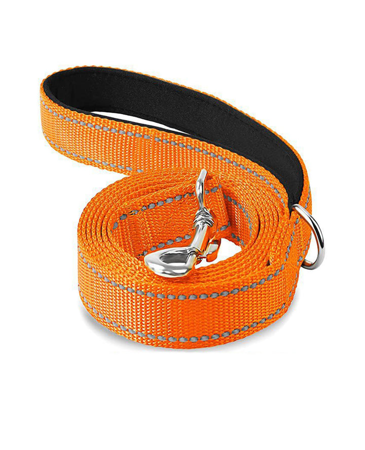 dog leash orange